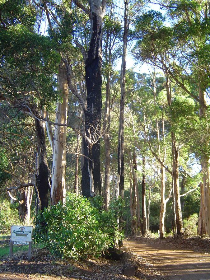 Kangaroo Valley Cottage 덴마크 외부 사진